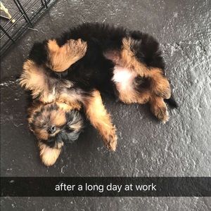 Meet your Posher, Lanyah